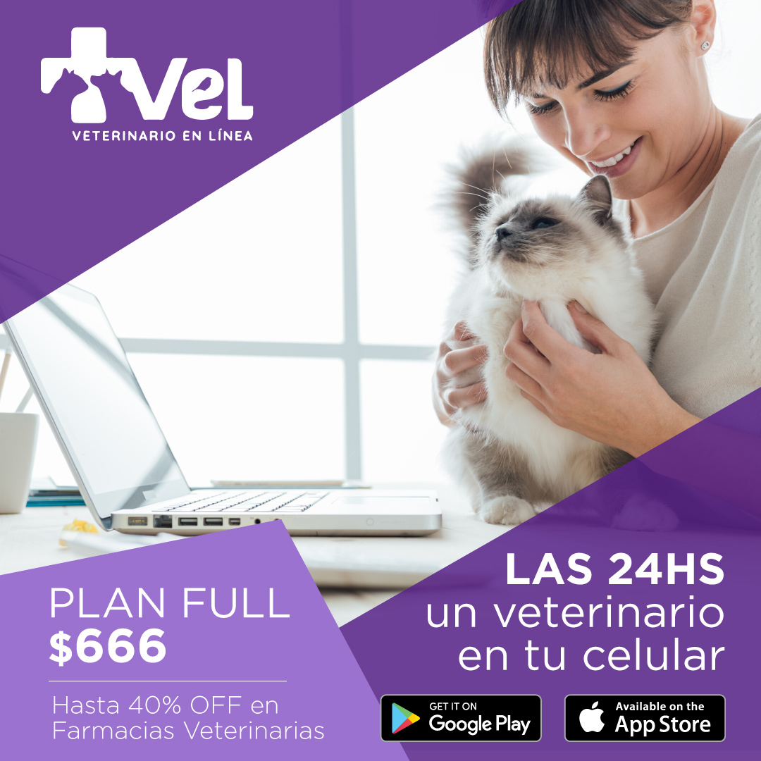 Vel